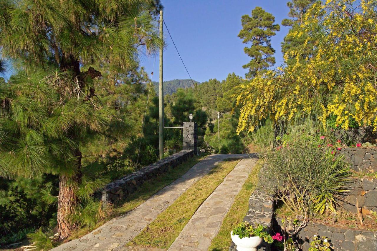 Casa Antonia Villa Tijarafe Eksteriør bilde